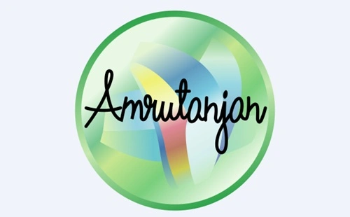 Amrutanjan Healthcare Net Worth
