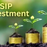 SIP Investors